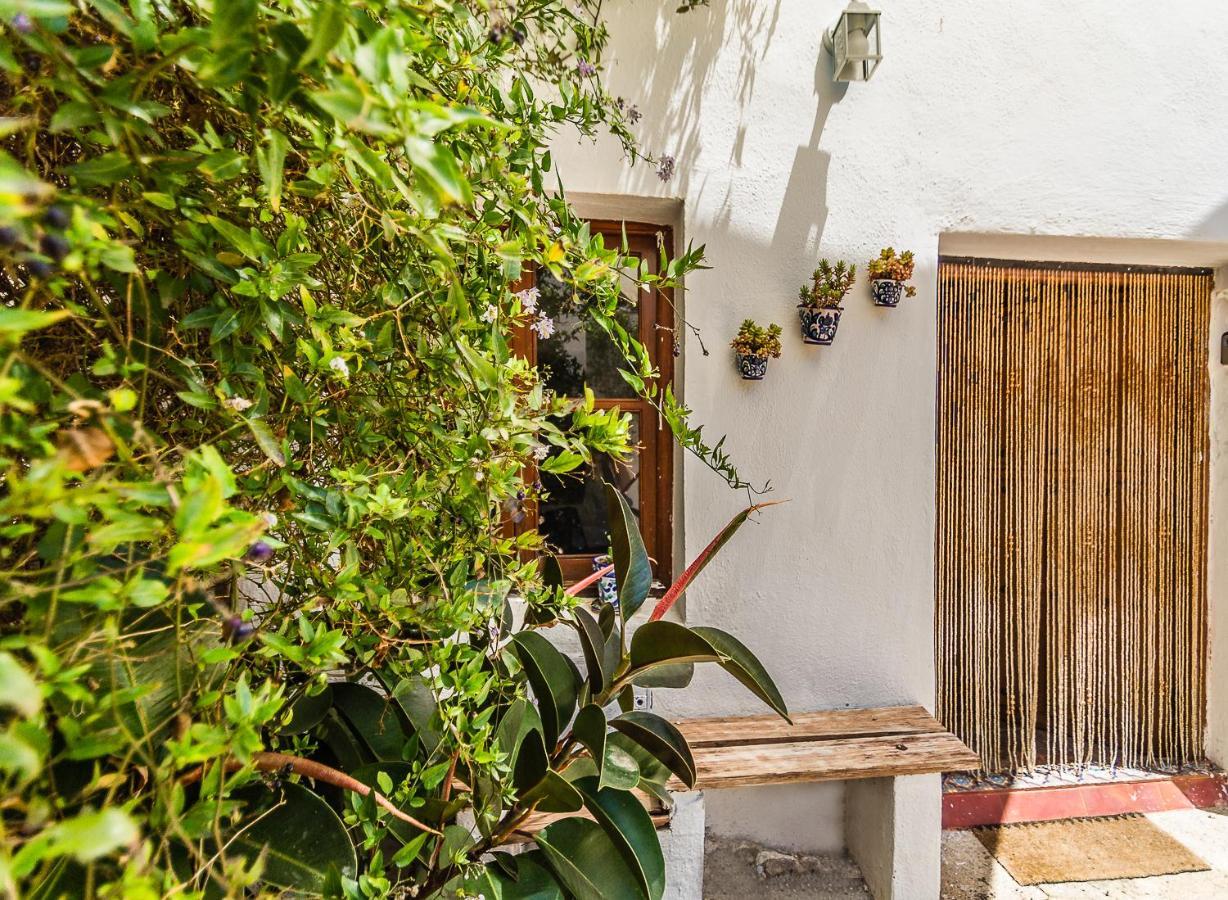 Casa Mundo - 16Th Century Traditional White Village House With Pool Pinos del Valle Extérieur photo